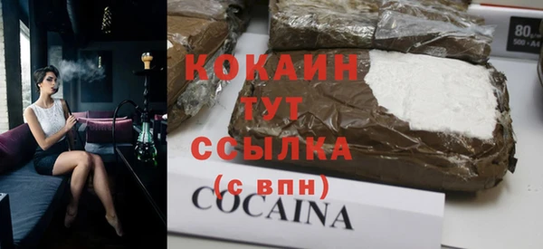молекула духа Богородицк