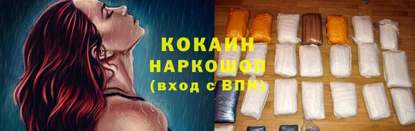 молекула духа Богородицк