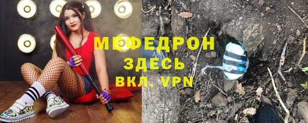 молекула духа Богородицк
