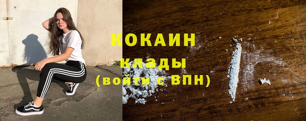 индика Сафоново