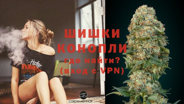 молекула духа Богородицк